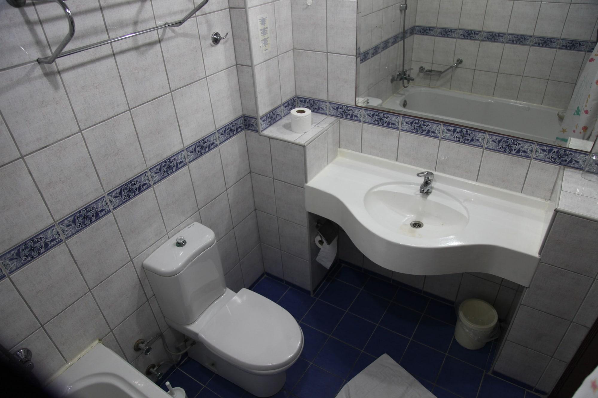 Hotell Alin 3*